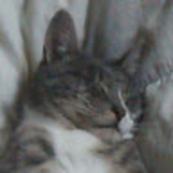 Meet your Posher, David - Picture 1 of 1